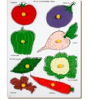 Vegetable With Knob