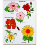 Flowers With Knob
